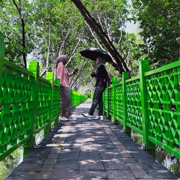 (Fence)Image Export-110