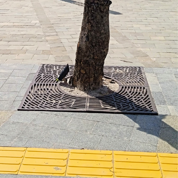 (Tree Grate) Image Export-122