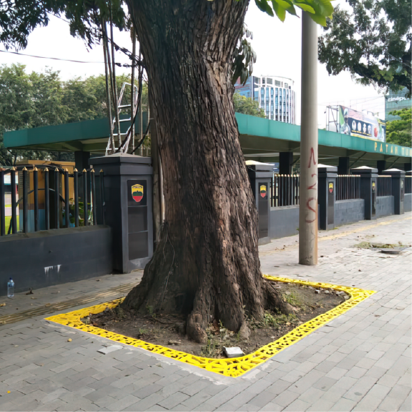 (Tree Grate) Image Export-128