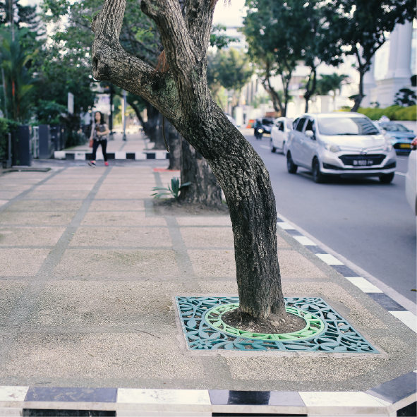 (Tree Grate) Image Export-129